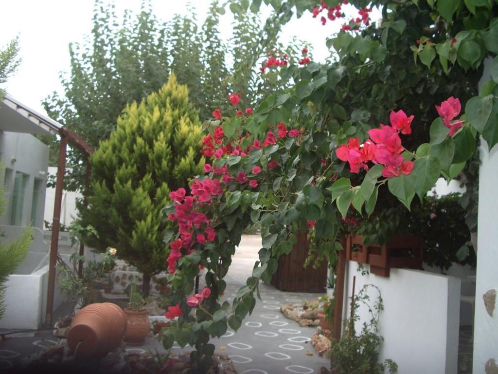 Skyros Panorama Studios Kültér fotó